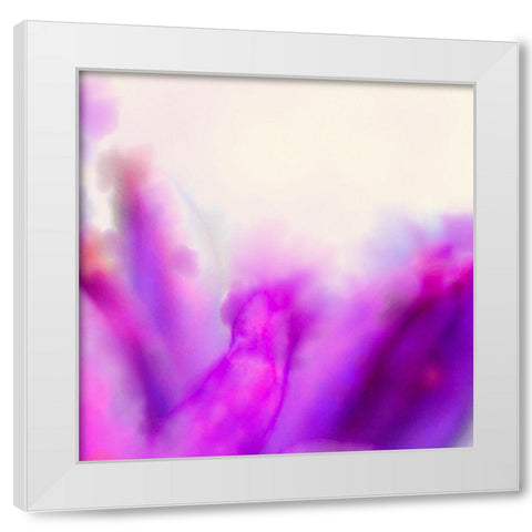 Blue Dicks W/C Bloom 5 White Modern Wood Framed Art Print by Tenoever, William