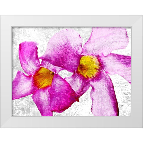 Flora Obscura 1 White Modern Wood Framed Art Print by Tenoever, William