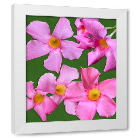 Pink Flowers on Green White Modern Wood Framed Art Print by Tenoever, William