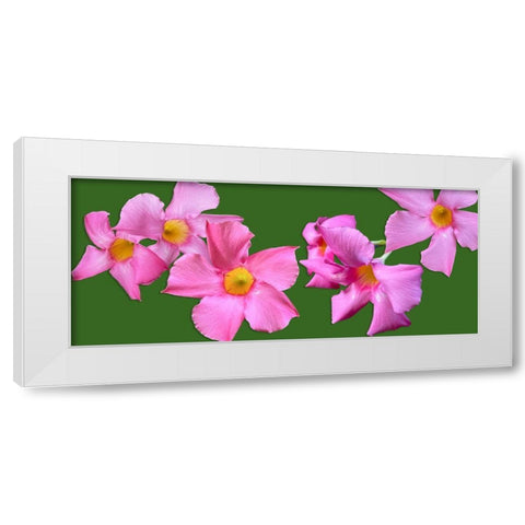 Pink Flowers on Green White Modern Wood Framed Art Print by Tenoever, William