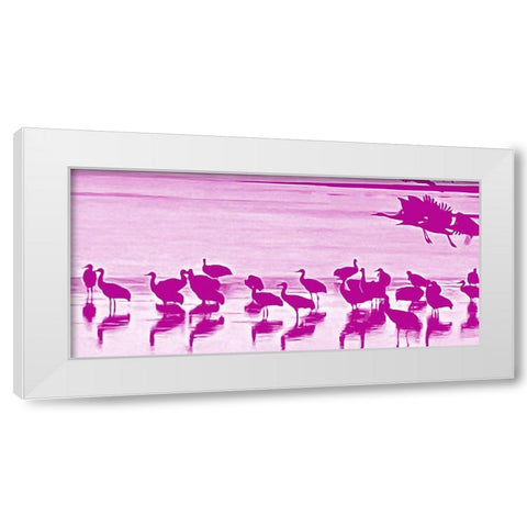 Sand Hill Cranes in Willcox 1c White Modern Wood Framed Art Print by Tenoever, William