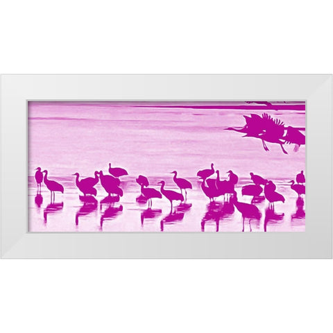 Sand Hill Cranes in Willcox 1c White Modern Wood Framed Art Print by Tenoever, William