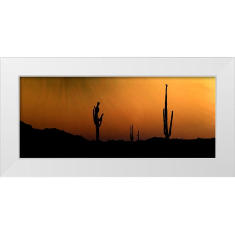 CopperSkies White Modern Wood Framed Art Print by Tenoever, William