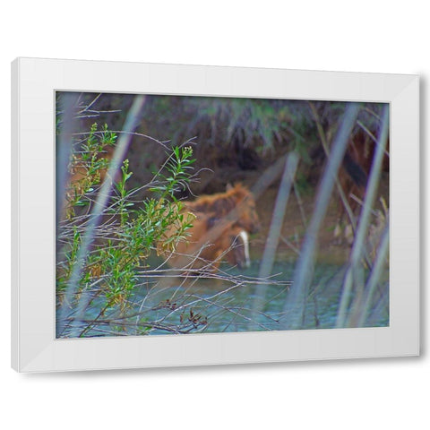 Wild Horses I White Modern Wood Framed Art Print by Popcorn