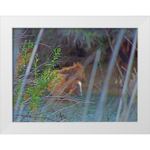 Wild Horses I White Modern Wood Framed Art Print by Popcorn