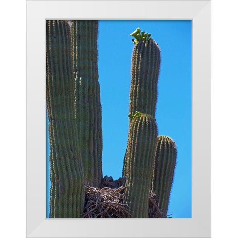 Great Horned Owl III White Modern Wood Framed Art Print by Popcorn