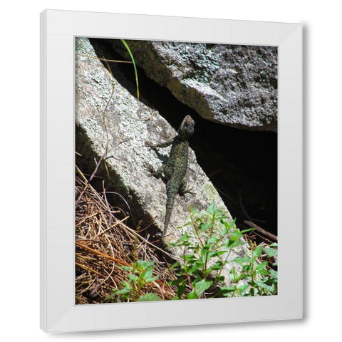 Lizards III White Modern Wood Framed Art Print by Popcorn