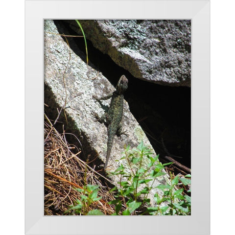 Lizards III White Modern Wood Framed Art Print by Popcorn