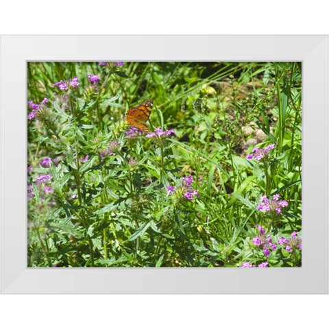 Butterfly I White Modern Wood Framed Art Print by Popcorn