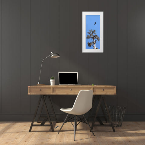 Turkey Vulture II White Modern Wood Framed Art Print by Popcorn