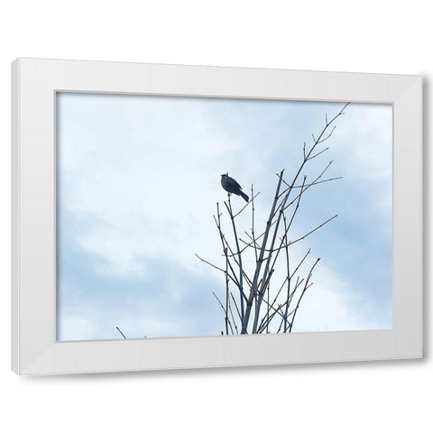 Bird Silhouette: Original White Modern Wood Framed Art Print by Popcorn