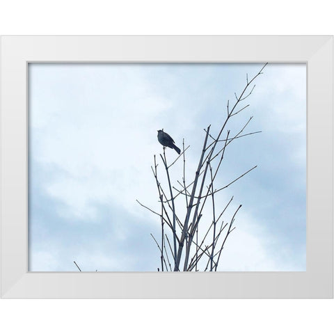Bird Silhouette: Original White Modern Wood Framed Art Print by Popcorn