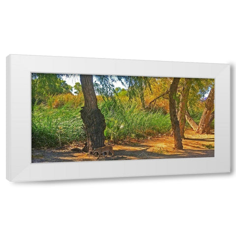 Bobcat I White Modern Wood Framed Art Print by Popcorn