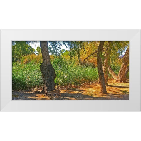 Bobcat II: Composite White Modern Wood Framed Art Print by Popcorn