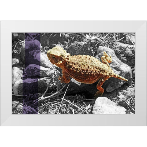 Horned Toad B-W Purple Stripe White Modern Wood Framed Art Print by Popcorn