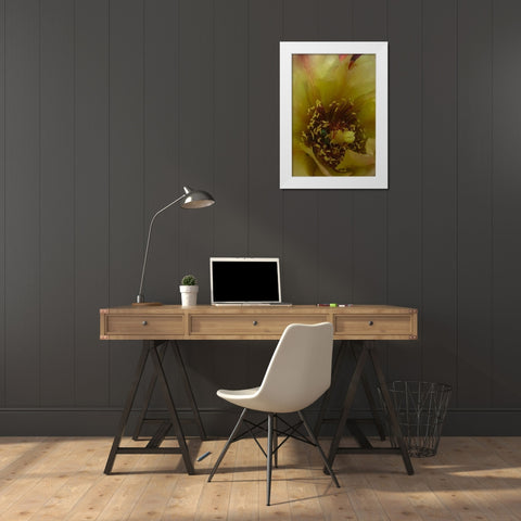 Cholla Bloom VI White Modern Wood Framed Art Print by Popcorn