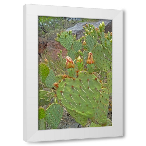Prickly Pear I: Heart White Modern Wood Framed Art Print by Popcorn