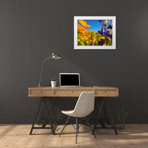 Wildflower III White Modern Wood Framed Art Print by Popcorn