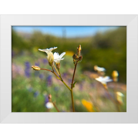 Wildflower V White Modern Wood Framed Art Print by Popcorn