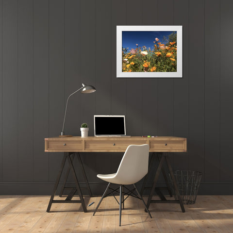 Wildflower X White Modern Wood Framed Art Print by Popcorn