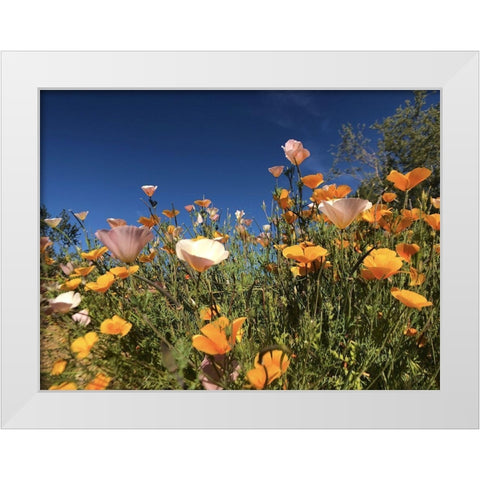 Wildflower X White Modern Wood Framed Art Print by Popcorn