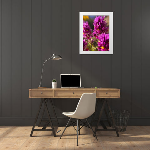 Owl Clover I White Modern Wood Framed Art Print by Popcorn