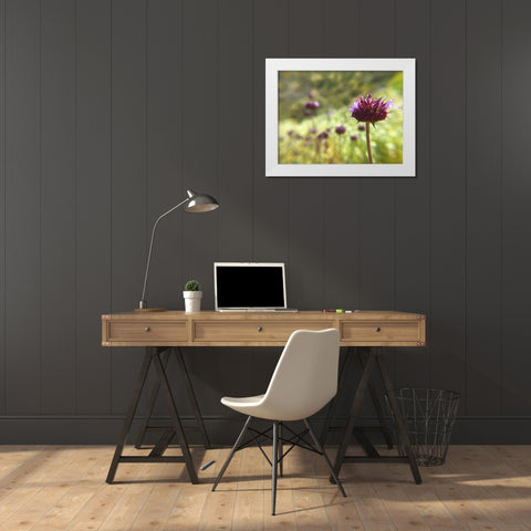 Sage I White Modern Wood Framed Art Print by Popcorn