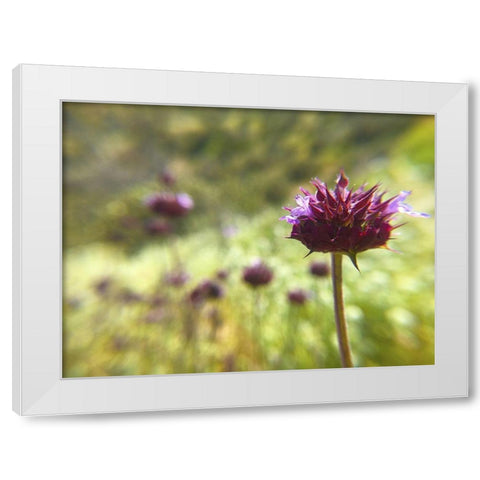Sage I White Modern Wood Framed Art Print by Popcorn