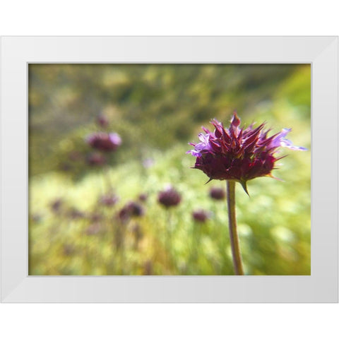 Sage I White Modern Wood Framed Art Print by Popcorn