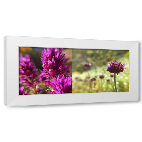 Wildflowers Collage I White Modern Wood Framed Art Print by Popcorn