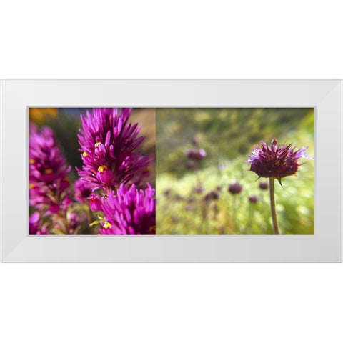 Wildflowers Collage I White Modern Wood Framed Art Print by Popcorn