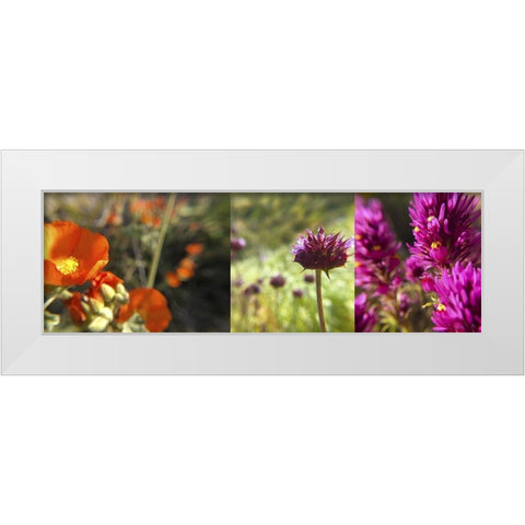 Wildflowers Collage II White Modern Wood Framed Art Print by Popcorn