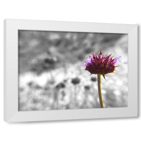Sage I: BandW White Modern Wood Framed Art Print by Popcorn