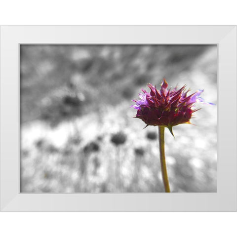 Sage I: BandW White Modern Wood Framed Art Print by Popcorn