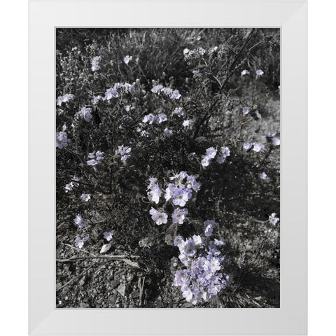 Wildflowers BandW I White Modern Wood Framed Art Print by Popcorn