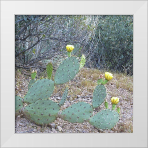 Wildflowers XX White Modern Wood Framed Art Print by Popcorn