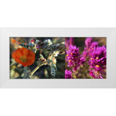 Wildflowers Collage III White Modern Wood Framed Art Print by Popcorn