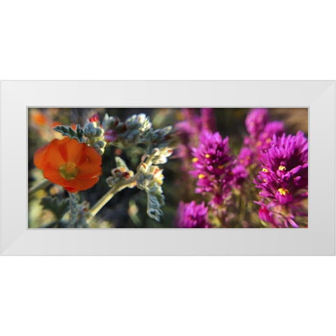 Wildflowers XIII, Collage White Modern Wood Framed Art Print by Popcorn