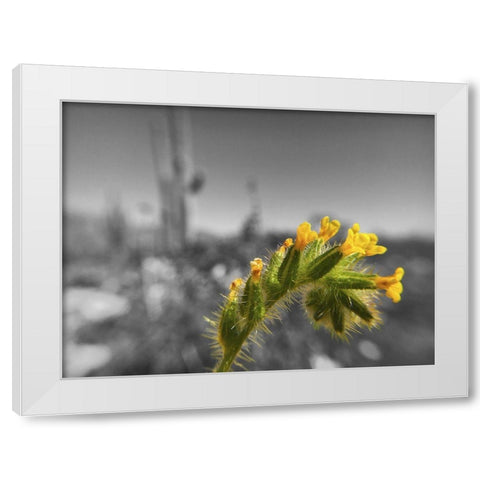 Wildflowers XXVI White Modern Wood Framed Art Print by Popcorn