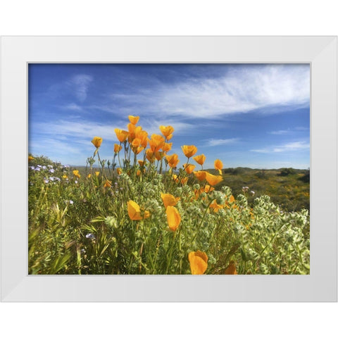 Wildflowers XXVII White Modern Wood Framed Art Print by Popcorn