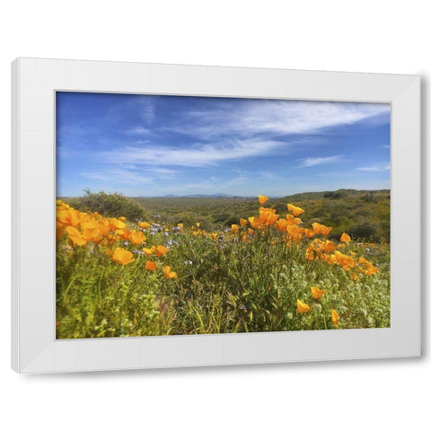 Wildflowers XXVIII White Modern Wood Framed Art Print by Popcorn