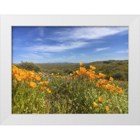 Wildflowers XXVIII White Modern Wood Framed Art Print by Popcorn