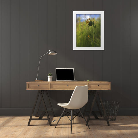 Wildflowers Macro II White Modern Wood Framed Art Print by Popcorn