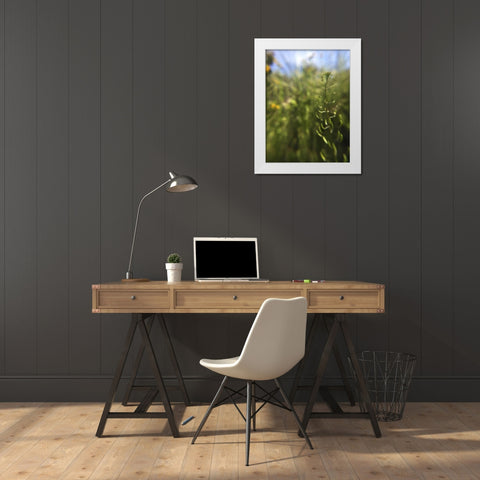 Wildflowers Macro IV White Modern Wood Framed Art Print by Popcorn