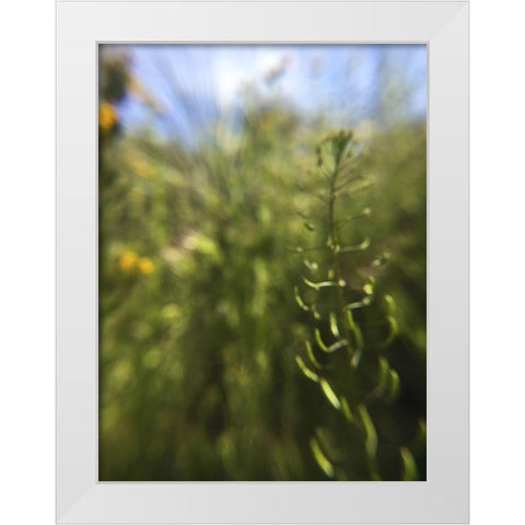 Wildflowers Macro IV White Modern Wood Framed Art Print by Popcorn