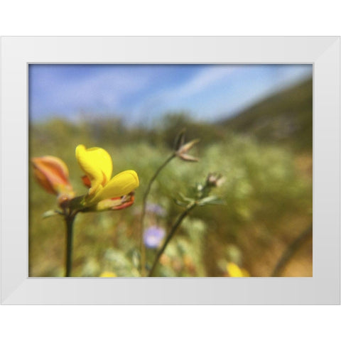Wildflowers XXX White Modern Wood Framed Art Print by Popcorn