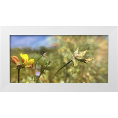 Wildflowers XXXII White Modern Wood Framed Art Print by Popcorn