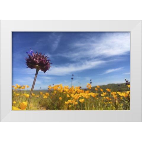 Wildflowers XXXIII White Modern Wood Framed Art Print by Popcorn