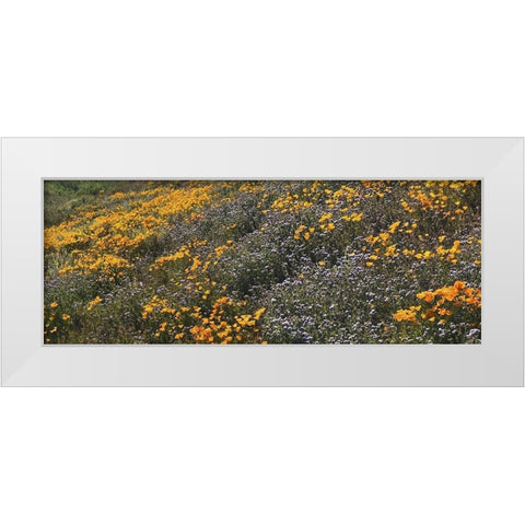Wildflowers XXVIII White Modern Wood Framed Art Print by Popcorn