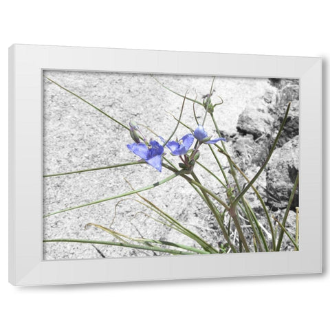 Wildflowers Collage I White Modern Wood Framed Art Print by Popcorn